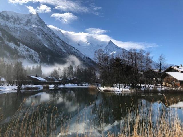 Studio Au Calme Avec Jardin Et Vue Mont-Blanc Chamonix Exteriör bild