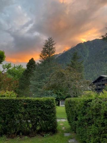 Studio Au Calme Avec Jardin Et Vue Mont-Blanc Chamonix Exteriör bild